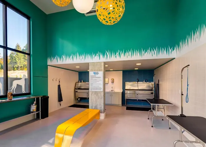 Apartamento de 1 Dormitorio